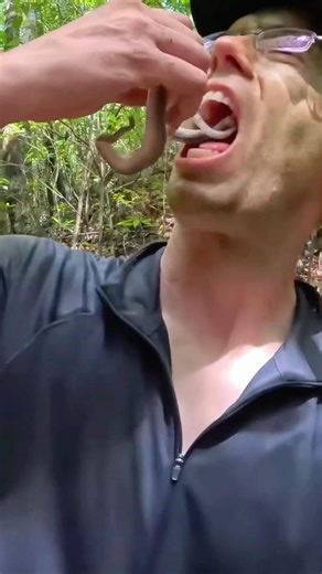 Trapped On A Deadly Jungle Island Eating VENOMOUS Vipers 😨🐍