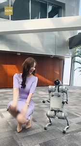 Unitree's Go2 robotic dog seems to be winning fans with its adorable "heart" gesture. Watch as this charming innovation brings smiles and melts hearts – who could resist? #2025ChinaAgenda #ChinaVibes #ChinaTravel #AI | China Plus Culture