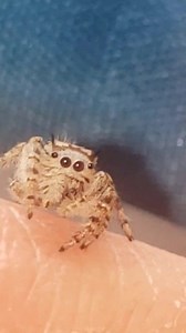 94K views · 897 shares | Found this little girl today on break at...