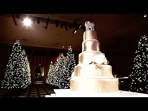 Paige and Michael’s Christmas Themed Virginia Wedding