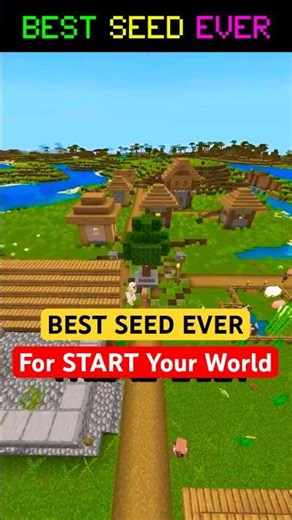 🌍BEST MINECRAFT SEED EVER Good for FARM and SPEED RUN