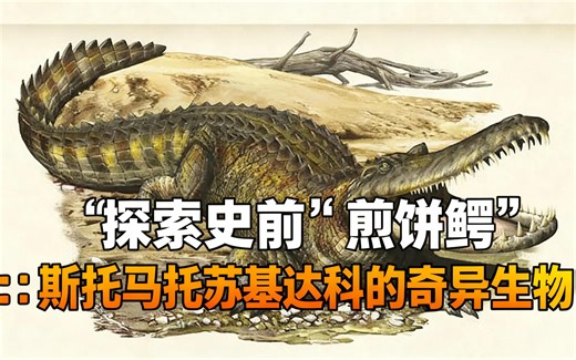 [中配]探索史前“煎饼鳄”：斯托马托苏基达科的奇异生物 - CHimerasuchus