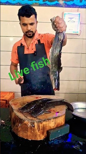 Catfish cuttingskills shortvideo.. singhara Machali kattin remove skin