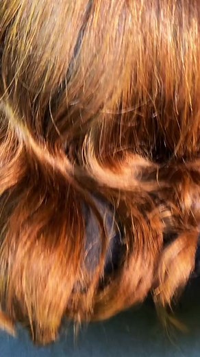 2.9K views · 109 reactions | Maternity photos on the way! Follow our IG @naenaetwins ✨擄#maternityphotoshoot #transformation #maternity #photoshoot #bts #aliensuperstar #beyonce | Nae Nae Twins | Facebook