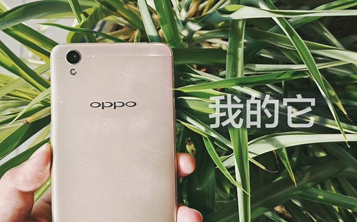 我的它—OPPO A37