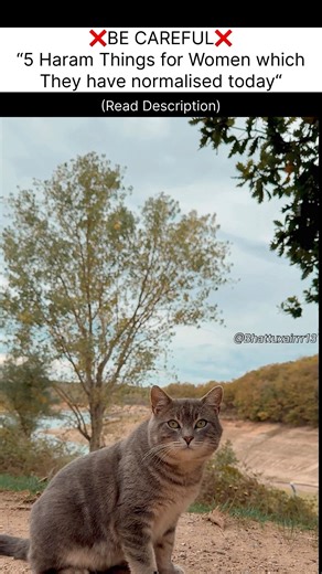 Read Description for more… #islamicreminder #islamicstatus #ytshorts #viral