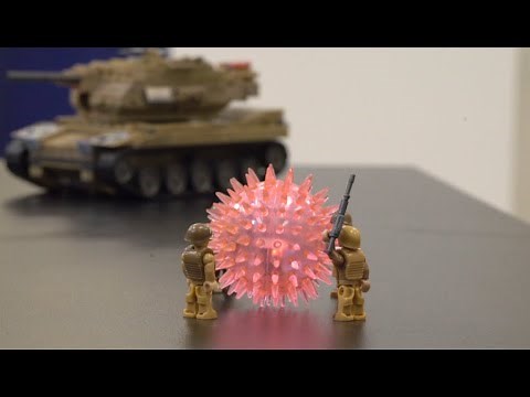 Le fonctionnement des vaccins