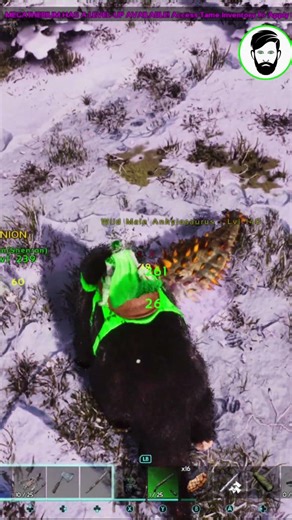 Megatherium Vs Ankys #arksupreme #arksurvivalascended #arksurvivalevolved #letsplay #gaming