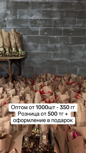 87085906862 #тюльпаны #оптом #алматы