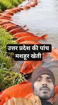 उत्तर प्रदेश की पांच मशहूरखेती