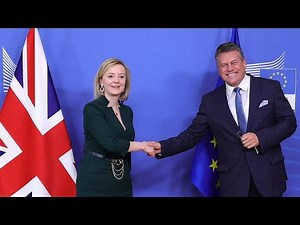 Northern Ireland Protocol: UK publishes controversial legislation to change Brexit treaty