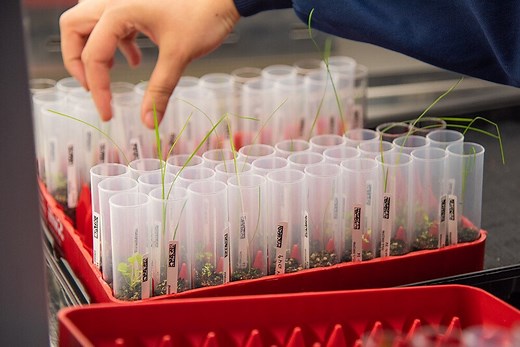 12 climate-smart technologies that could transform farmers lives