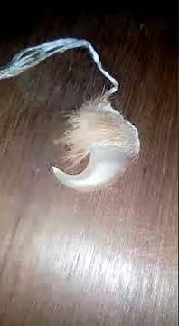 Real Tiger Nail, Asli Bagh Nakh