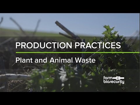 Farm Biosecurity Essentials: Production Practices