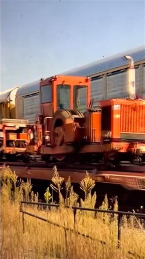 What Is This Weird Stuff?! CSX Maintenance Of Way Equipment, JawTooth Trains