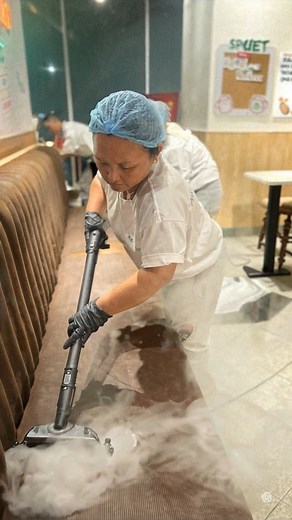 ✨ Say goodbye to dirt and hello to hygiene! 🛋️💨 Our steam sofa cleaning not only melts away stubborn stains and softens grime, it also sanitizes your furniture—killing germs, bacteria, and even bed bugs! 🦠🔥 | Squeaky Cleaning