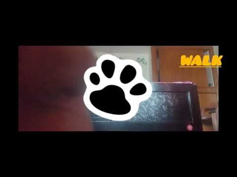 Finally a quadrobics tutorial is here!walk and trot... #funtime #therianthropy enjoy the vid🐾🐾🐱