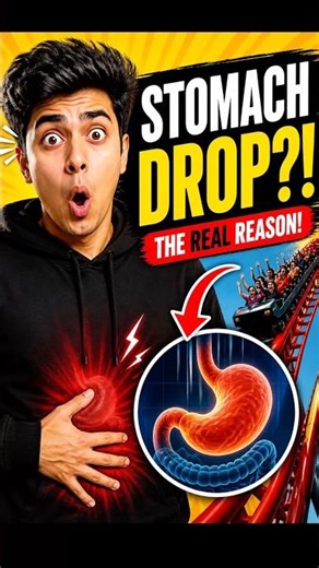 Why Your Stomach Suddenly DROPS?! 😳 (Real Reason)