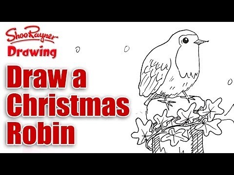 How to draw a Christmas Robin