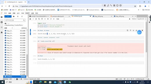 十分钟了解torch.tensor的维度变换