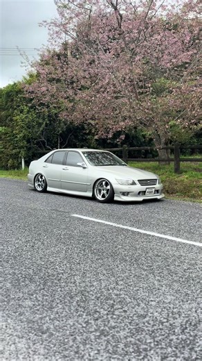 Understanding Muscle Cars: Boosted and Static Features