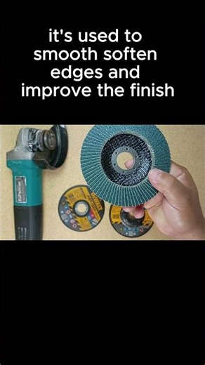 which one is the flap disc?