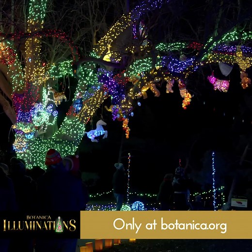 2.7K views · 26 reactions | Illuminations tickets are on sale now! ...