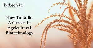 How To Build A Career In Agricultural Biotechnology ? Read Now