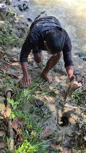 fishing for wild animals #nature #shortviral #viral