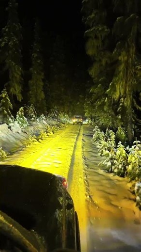 Found SNOW! Night Wheeling Adventure in the Toyota 4Runner! #4runner #offroad #toyota