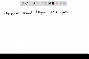 SOLVED:Why do you think apoptosis occurs by a different mechanism from the cell death that occurs in cell necrosis? What might be the consequences if apoptosis were not achieved in so neat and orderly a fashion, whereby the cell destroys itself from within and avoids leakage of its contents into the extracellular space?