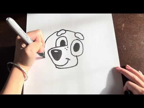 How to draw Socks Heeler (previous) from Bluey