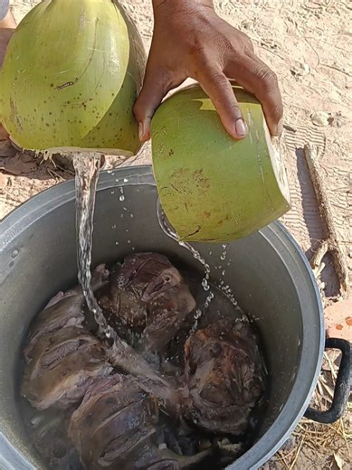 Delicious Grilled Coconut Water Recipe