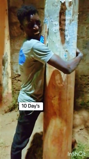 THE BOY WHO HANDLE THE TREE FOR 10 DAYS #funny #trees #treebranch #walkingtree #treetrunk #treepeopl