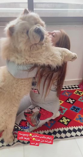 Fluffy Dog Cuddles: A Heartwarming Bond