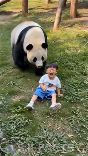 अरे मेरा बच्चा तो नीचे गिर गया 🤩😍