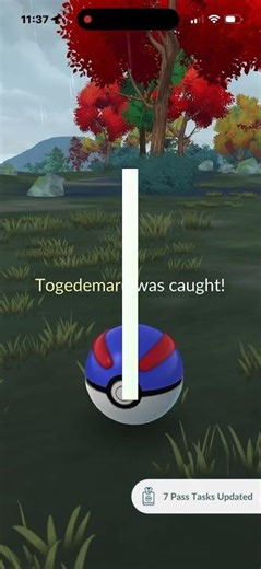 Catching Shiny Togedemaru In Pokémon Go
