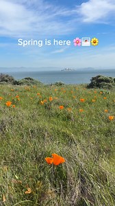 2K views · 51 reactions | Today is the #SpringEquinox, which means...