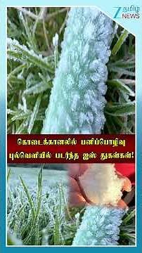 கொடைக்கானலில் பனிப்பொழிவு! புல்வெளியில் படர்ந்த ஐஸ் துகள்கள்! #Shorts