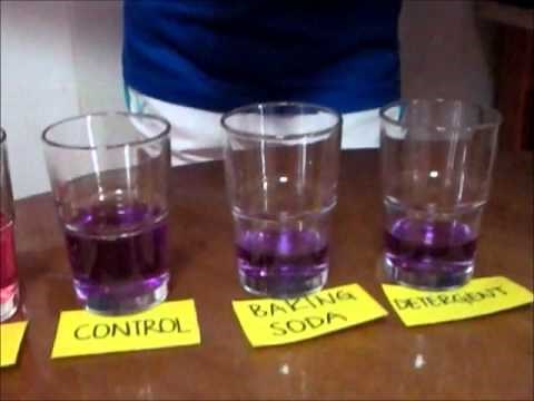 Red Cabbage pH Indicator