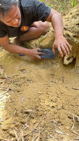 How to get a rabbit out of its burrow #trending #shortsviral