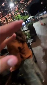 Brushtail Possum Bites Man on Finger While He Tries to Pet It