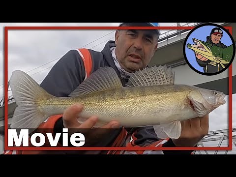 🎣 VISSEN OP SNOEKBAARS MET DE LOODKOP SLEEPTECHNIEK 🎥 vistechnieken snoekbaars | kunstaas #47