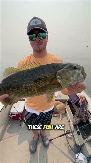 These Were Our BIGGEST Fish of 2025 😳#largemouthbass #icefishing #muskyfishing #bassfishing