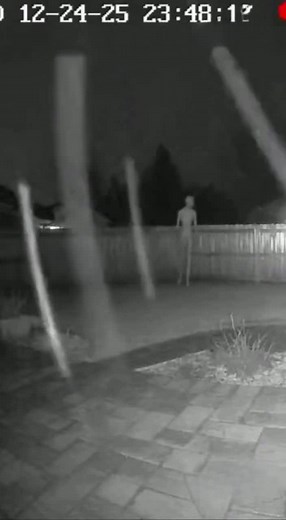 Mysterious Creature Captured on Backyard CCTV