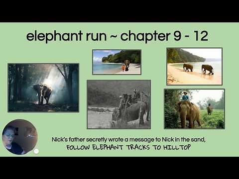 Elephant Run Ch 9 - 12 by Roland Smith / READ ALOUD
