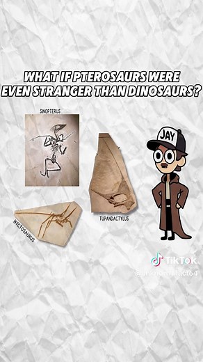 Exploring the World of Dinosaurs and Pterosaurs