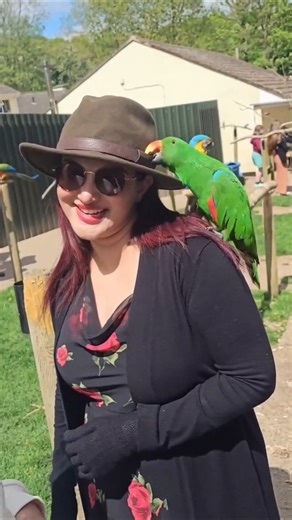 #trend #salmankhan #honeyrose #dance