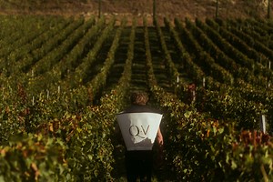 The Château - Château Quintus