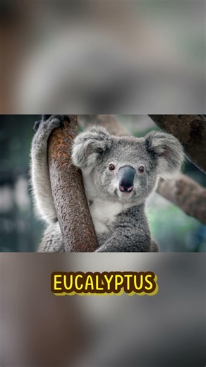 3 Animals With The Worst Parents in Nature (Shocking Animal Facts)